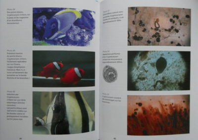 page2 livre maladies des poissons marins en aquarium