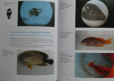 Boek Ziekten bij zeewatervissen pagina1