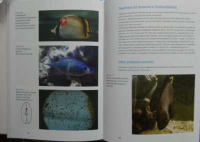 A preview of the English book "New Marine Book" page 52-53