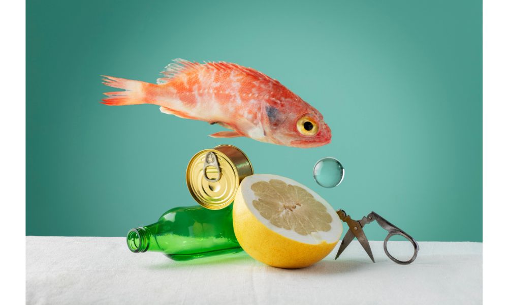 Complete Nutrition for Fish with Biofish-Food